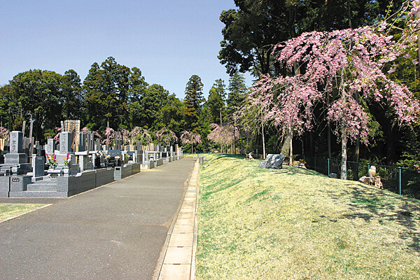 さくら中央霊園