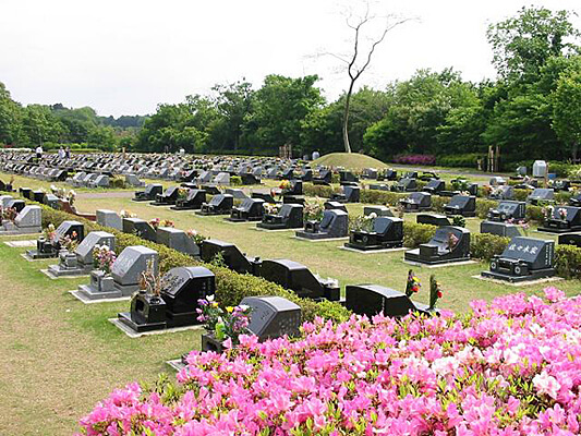 千葉市営 平和公園