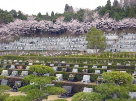 成田市営いずみ聖地公園