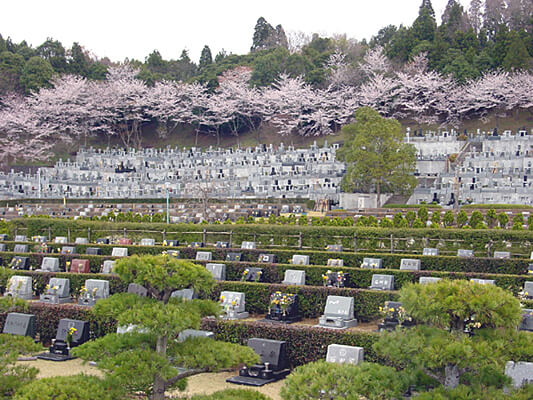 成田市営　いずみ聖地公園