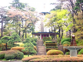 都立八柱霊園