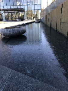 氷結した池