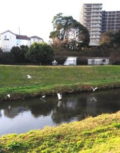 「平成」最後の大晦日