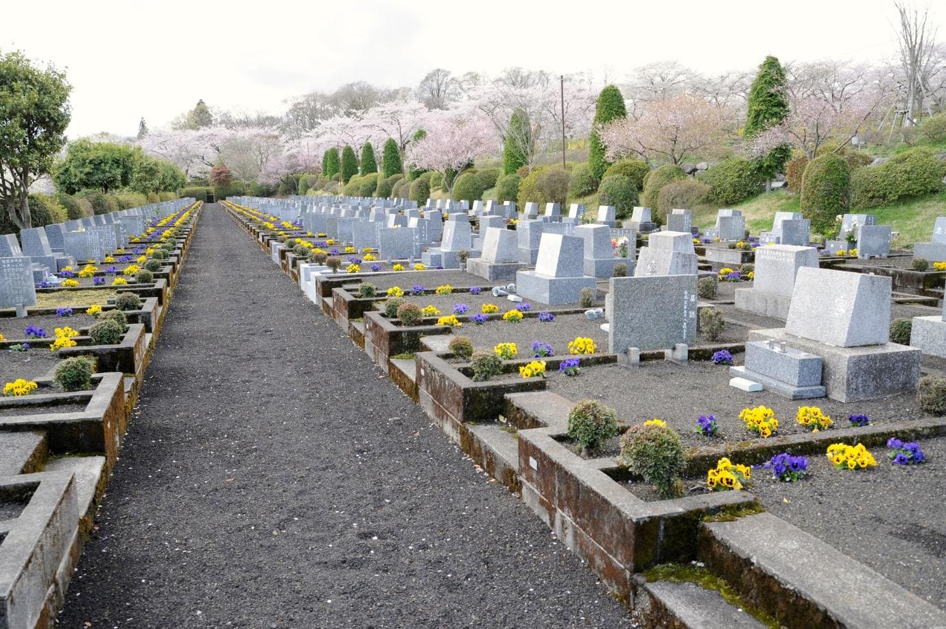 お 墓 に 木 は 植え ない 方 が いい