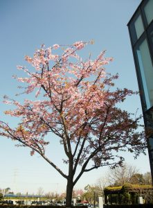 市川の杜霊園　春彼岸合同供養祭