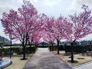 新年度の始まりに・・・